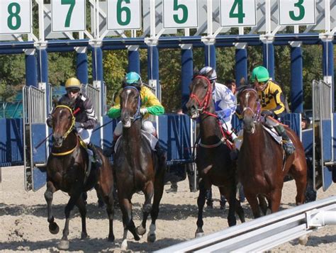 average superfecta payout|How To Calculate Payouts on Horse Racing Wagers.